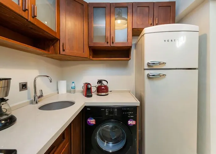 Maison Chic - Newly Renovated 3br In Center Istanbulská provincie