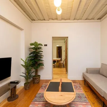 Maison Chic - Newly Renovated 3br In Center Appartement Istambul