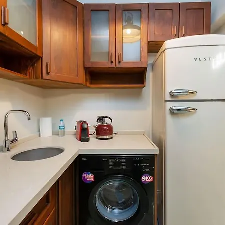Maison Chic - Newly Renovated 3br In Center Istambul